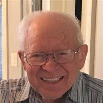 DAVID WALDSHAN