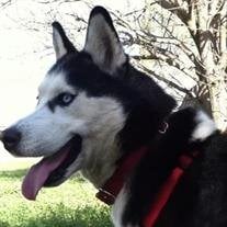 Mya