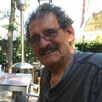 David L. Papenfuss
