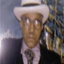 Mr. Leo Williams