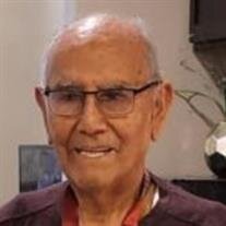 Peter P Castro