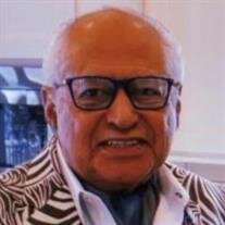 Mr. Michael L Labat Sr.