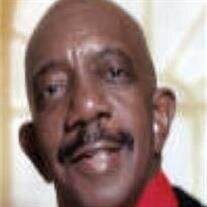 Mr. James Theodore Moseley, Jr.