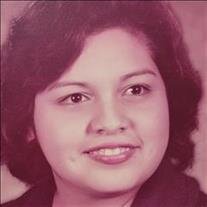 Elvia Carmona Portillo
