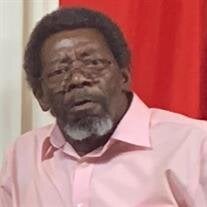 Mr. Theodore Minor, Jr.