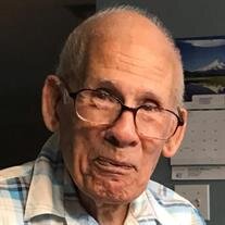 Vincent Capitano Sr
