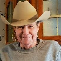 Terry Robertson