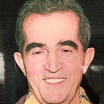 Stergios "Stevie" Gitsis