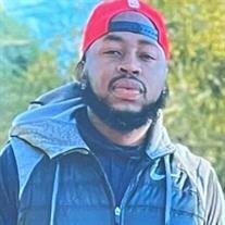 Mr. Terrance S. King