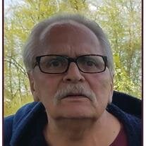 Randy L Mueller