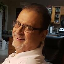Steven T. McKenzie