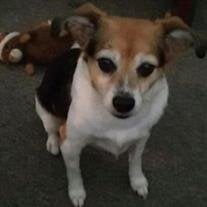 Peanut Reid