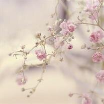 Sally Ann Bourque