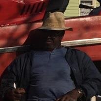 Mr. Lewis Robinson Jr.