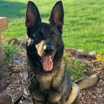 Achilles Sendejo