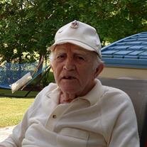 Mr. Samuel Friedland