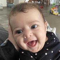 Loucellia Sage Highsmith