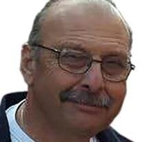 Angelo Cane
