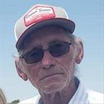 Dennis Dean Babb