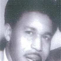 Mr. Willie  Mopkin Jr.