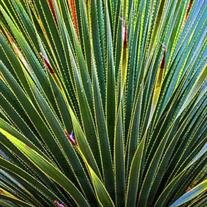 Debra Kay Hampton