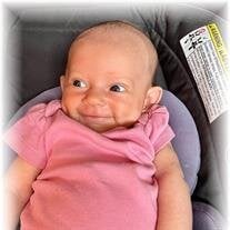 Isabella Mae Lambert