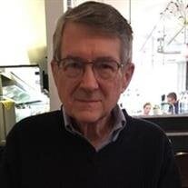 Wayne T. Hanebrink