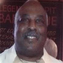 Mr. Herbert Louis Young