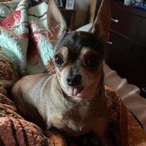 Precious Moore