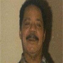 Mr. Jimmie Lee Fossett
