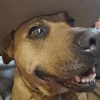 Seamus