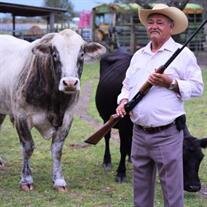 Leonardo Gomez-Arrez