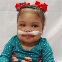 Little Miss. Sophia Maxwell