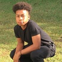 Shamar Junior Lovence