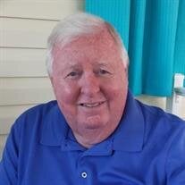 Mr David Steele