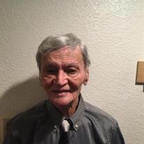 Mr. John Rowshan