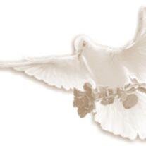 Stuart G. Porter Sr.