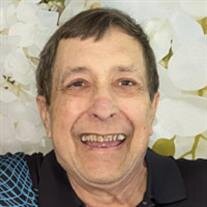 Dr. Dennis E. Thornton
