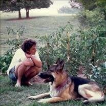 Donald Roger Andrews