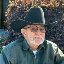 Mr. Joe David Hyatt
