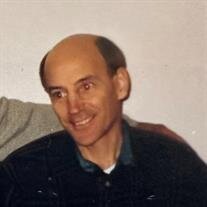 Daniel P. Bellucci