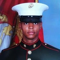 Dominick E. Williams