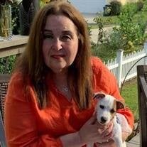 Mrs. Susan H Shapiro Ph.D.