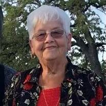 Barbara Ann (Genzer) McVey