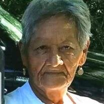 MS. SHIRLEY ANN BRISCOE
