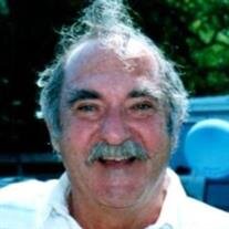 Raymond L. Dolfini