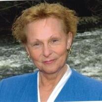 Ann Hinsdale-Knisel