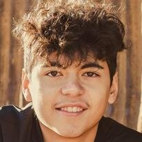 Devan Jose Bujanda