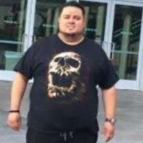 David Gomez Segura