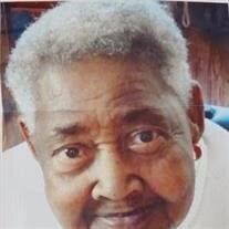 Mildred Lee James